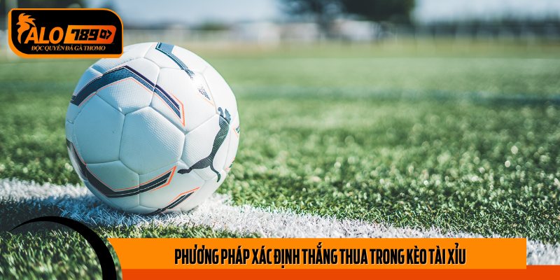 Phương pháp xác định thắng thua trong kèo Tài Xỉu