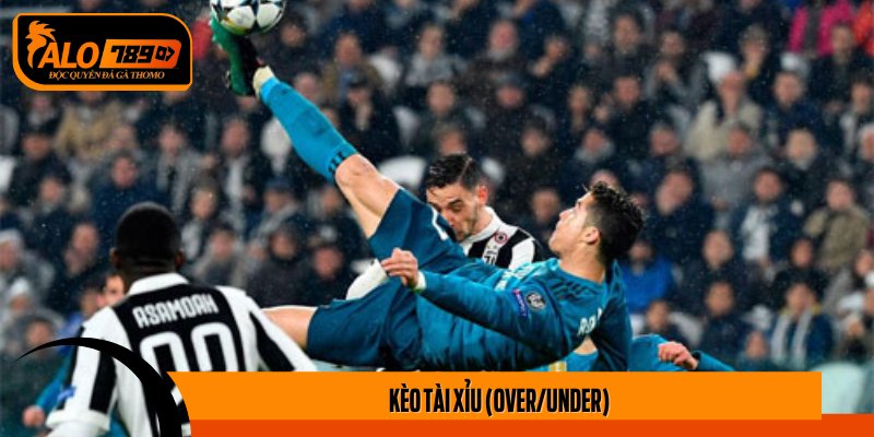 Kèo Tài Xỉu (Over/Under)